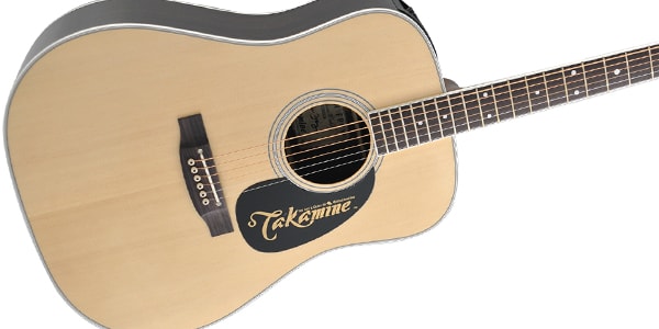 TAKAMINE ( タカミネ )  / EF360GF Natural画像2
