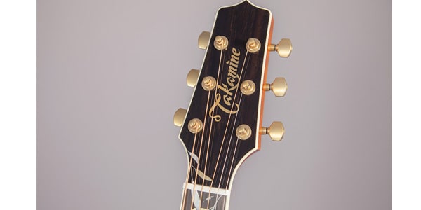TAKAMINE / LTD2020　Peace画像4