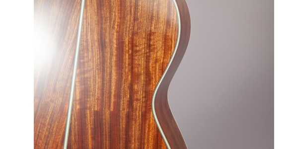 TAKAMINE / LTD2020　Peace画像6