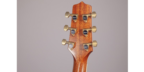 TAKAMINE / LTD2020　Peace画像7