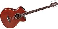 TAKAMINE PB-5 ANS