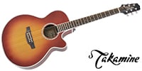 TAKAMINE PTU121C FCB