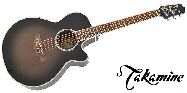 76%OFF!】 Takamine DMP700 N タカミネ エレアコ アコースティックギター アコギ