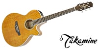 TAKAMINE PTU121C VN