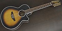 TAKAMINE PTU141C-12 TBS　12弦ギター