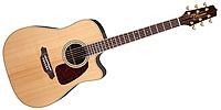 TAKAMINE PTU241C N