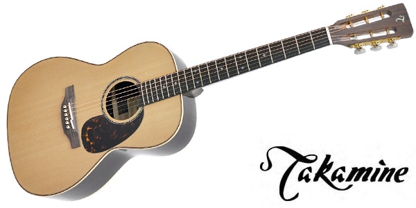 TAKAMINE ( タカミネ ) SA461 Natural 送料無料 | サウンドハウス