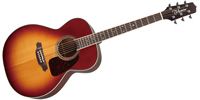 TAKAMINE SA541 AS