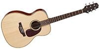 TAKAMINE SA741 Natural