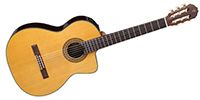 TAKAMINE TC132SC