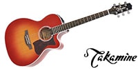 TAKAMINE TDP751C CYS