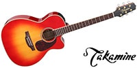 TAKAMINE TDP752C CYS