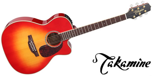 Takamine　タカミネ　アコギ　TD-20 　初心者におすすめ　ギター