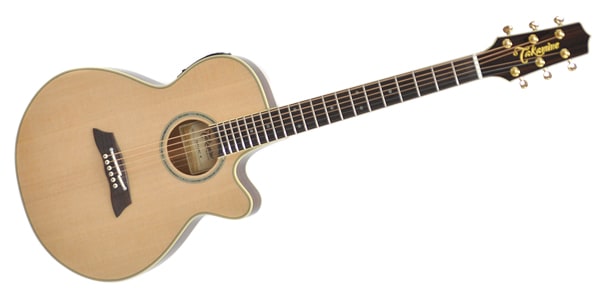 TAKAMINE ( タカミネ )  / TSP138C N画像3