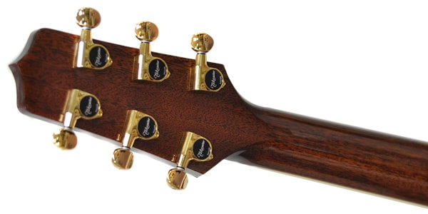 TAKAMINE ( タカミネ )  / TSP138C TB画像7