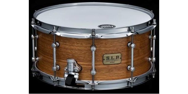 TAMA / LSG1465-SNG S.L.P. / Bold Spotted Gum
