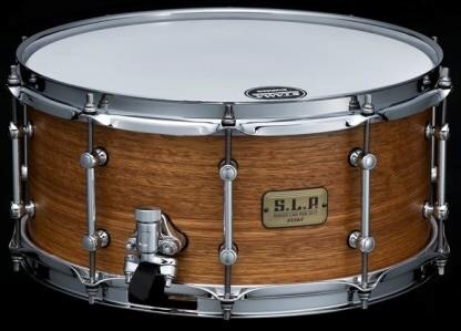 TAMA/LSG1465-SNG S.L.P. / Bold Spotted Gum