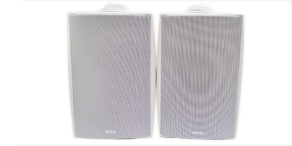 TANNOY / DVS4t WHITE 画像2