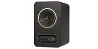 TANNOY GOLD 5