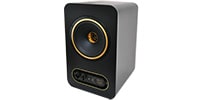 TANNOY GOLD 7