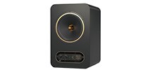 TANNOY GOLD 8