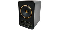 TANNOY GOLD 8