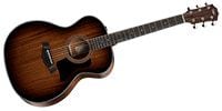 TAYLOR 324e