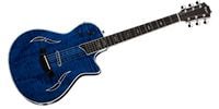 TAYLOR T5z Pro Pacific Blue