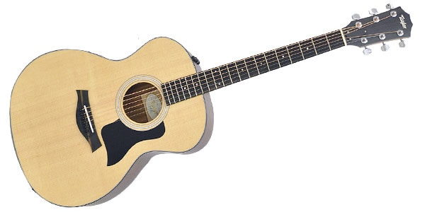 サウンドハウスでTaylor 114Eを購入する