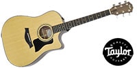 TAYLOR / 310ce