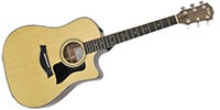 TAYLOR 310ce