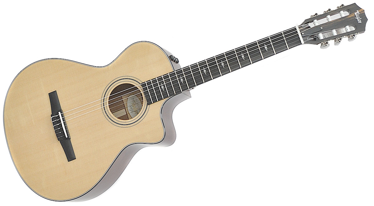 TAYLOR/312ce-N