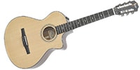 TAYLOR 312ce-N