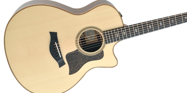 Taylor Guitars ( テイラー )  / 716ce画像2