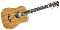 TAYLOR BABY MAHOGANY BT2 ミニアコ