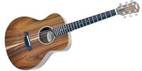 TAYLOR GS Mini-e Koa ミニエレアコ