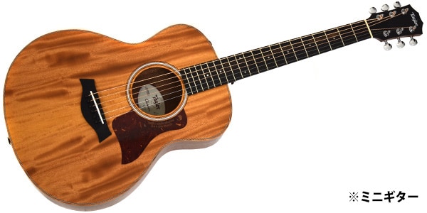 TAYLOR/GS Mini-e Mahogany