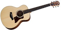 TAYLOR GS mini Rosewood ミニアコ