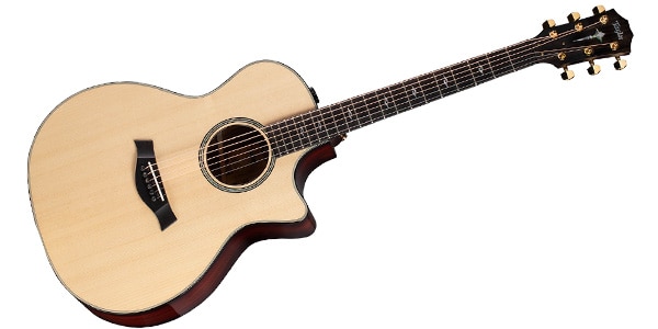 Taylor Guitars ( テイラー )  / Limited Edition 814ce Cocobolo
