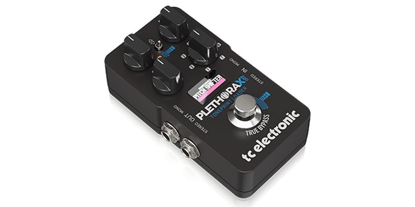 TC ELECTRONIC / PLETHORA X1 NEO画像2