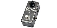 TC ELECTRONIC Ditto Looper ルーパー