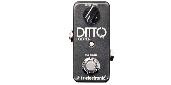 【ルーパー】DITTO LOOPER 【tc electronic】