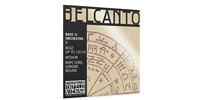 Thomastik-Infeld / BELCANTO ORCHESTRA Contrabass Strings D-line 3/4 Medium BC62