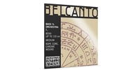 Thomastik-Infeld / BELCANTO ORCHESTRA Contrabass E 3/4 Medium BC64