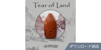 THREE-BODY TECH / TEAR OF LAND download delivery