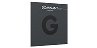 Thomastik-Infeld / Dominant PRO ビオラ弦 G線 シルバー巻 Medium