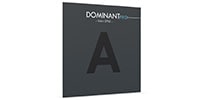 Thomastik-Infeld / Dominant Pro バイオリン弦 A線 DP02 アルミ巻