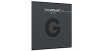 Thomastik-Infeld / Dominant Pro チェロ弦 G線バラ Medium 4/4
