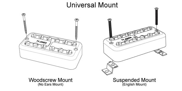 TV JONES ( ティーヴィージョーンズ )  / Super'Tron Universal Mount Neck Gold 画像2