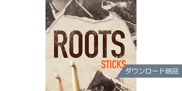 TOONTRACK / SDX - ROOTS STICKS Download and delivery